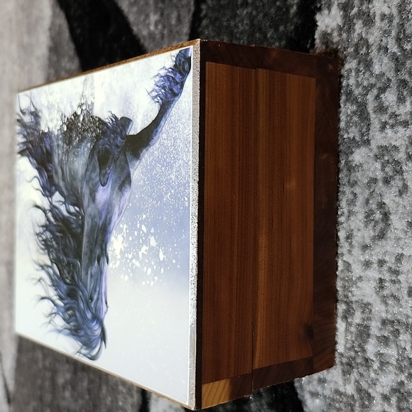 VINTAGE WINTER THUNDER HORSE MACKINAC ISLAND MICHIGAN CEDAR DECOR KEEPSAKE BOX - Picture 7 of 15
